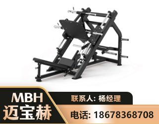 兴安盟45°倒蹬训练器