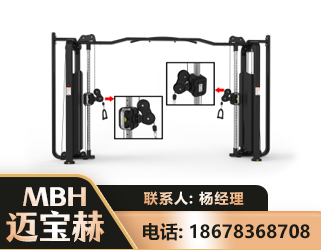 兴安盟大飞鸟训练器