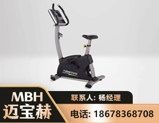 兴安盟立式健身车
